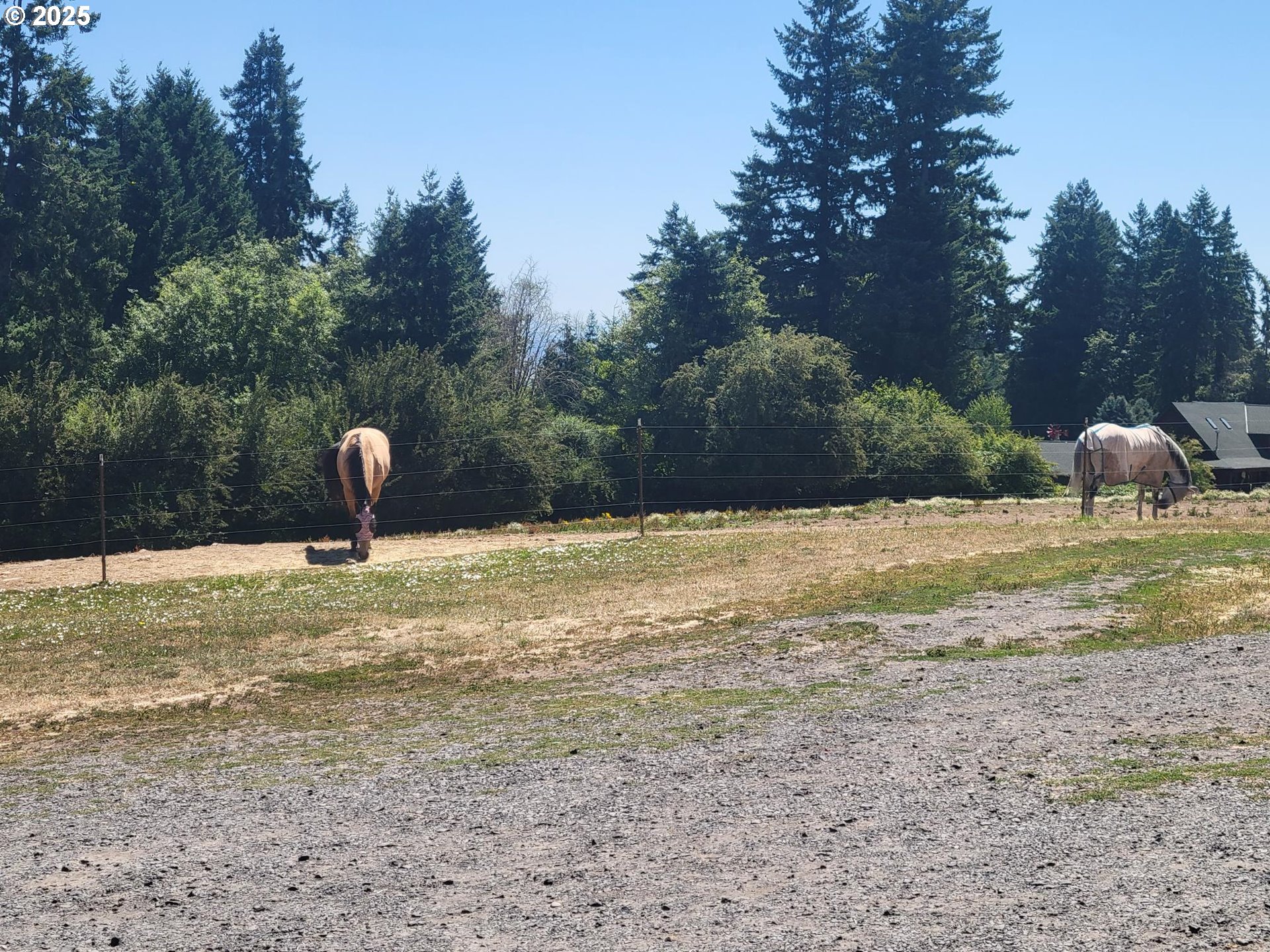32650 Oester Road Warren, OR 97053 - Photo 15 of 43 a swimming pool view