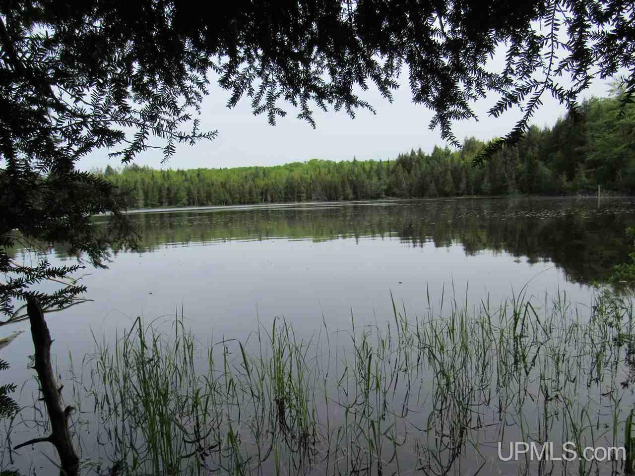Tbd Co Rd 442, Unit 4 Rapid River, MI 49878 - Photo 1 of 10