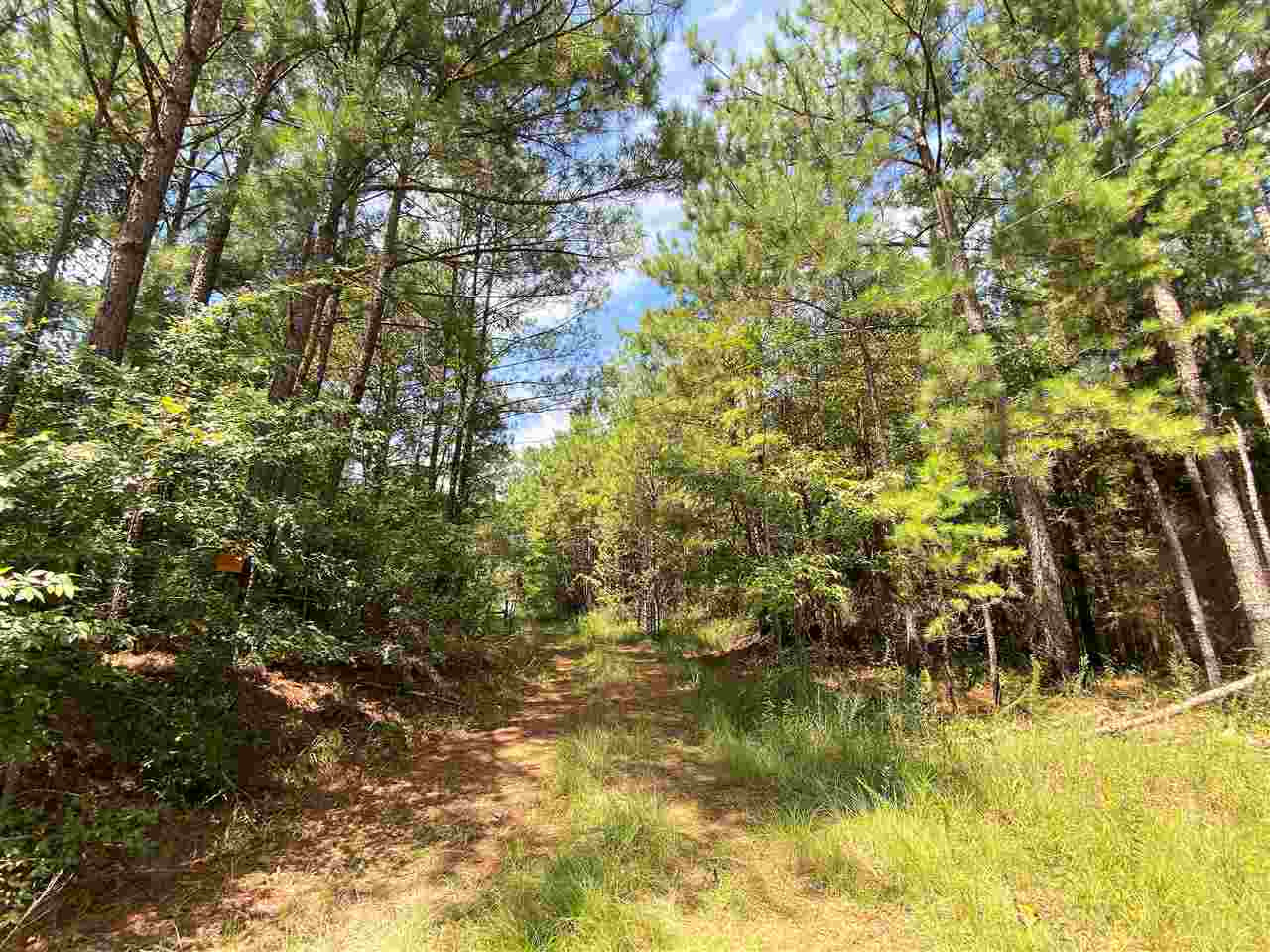 2692 St Anne Road Carthage, MS 39051 - Photo 3 of 41 Photo 3