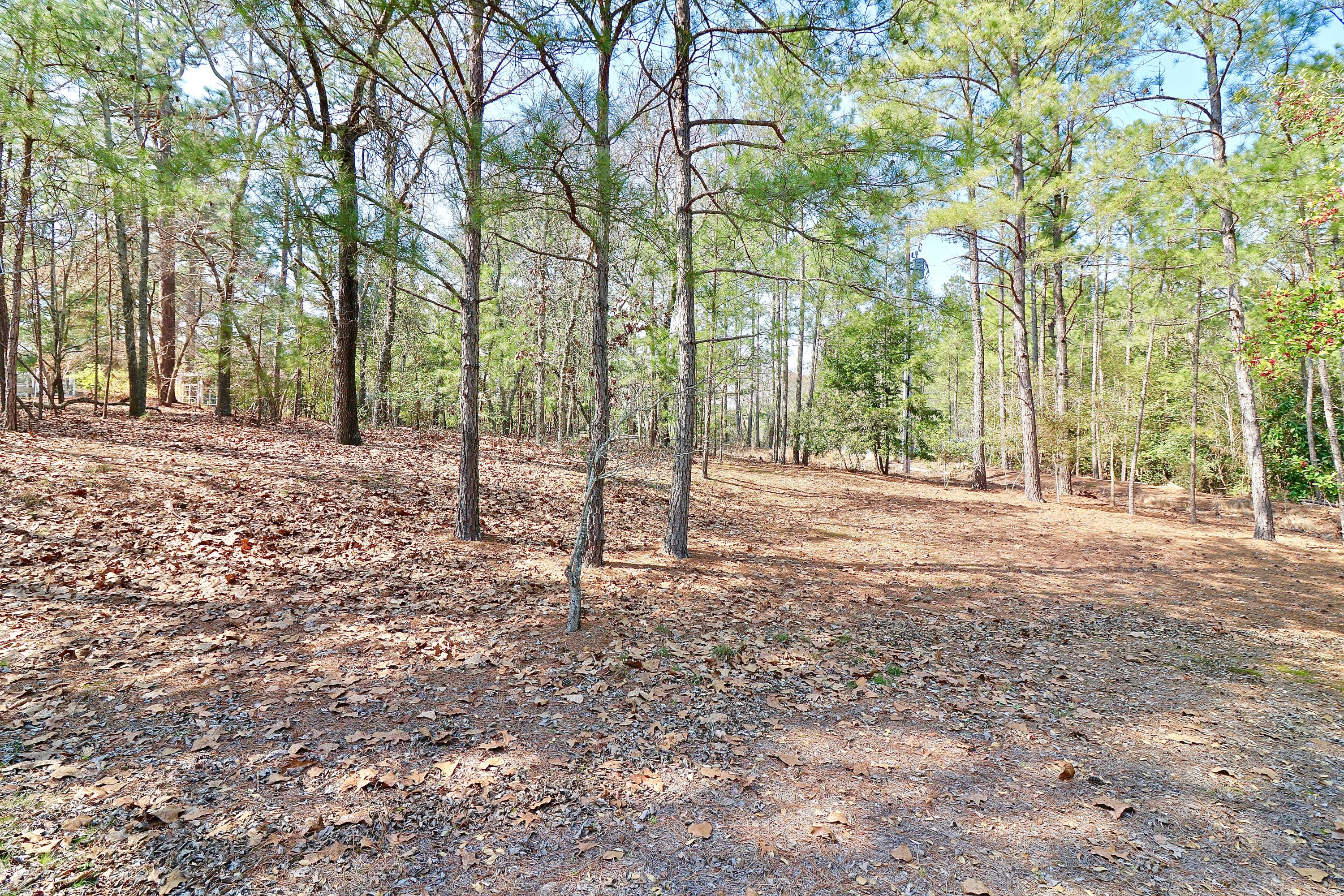 5 Vardon Road Pinehurst, NC 28374 - Photo 41 of 48 IMG_6260