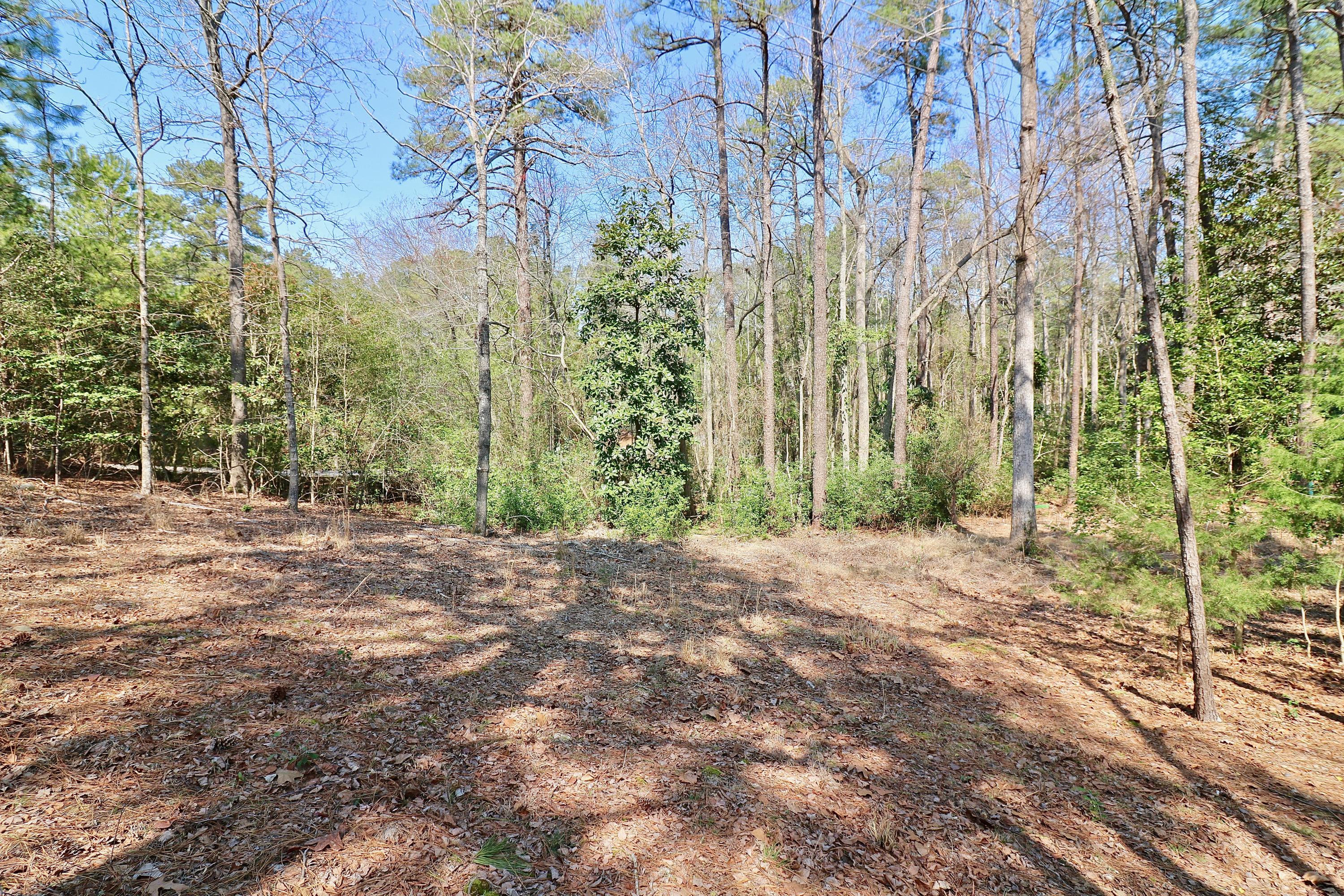 5 Vardon Road Pinehurst, NC 28374 - Photo 42 of 48 IMG_6266