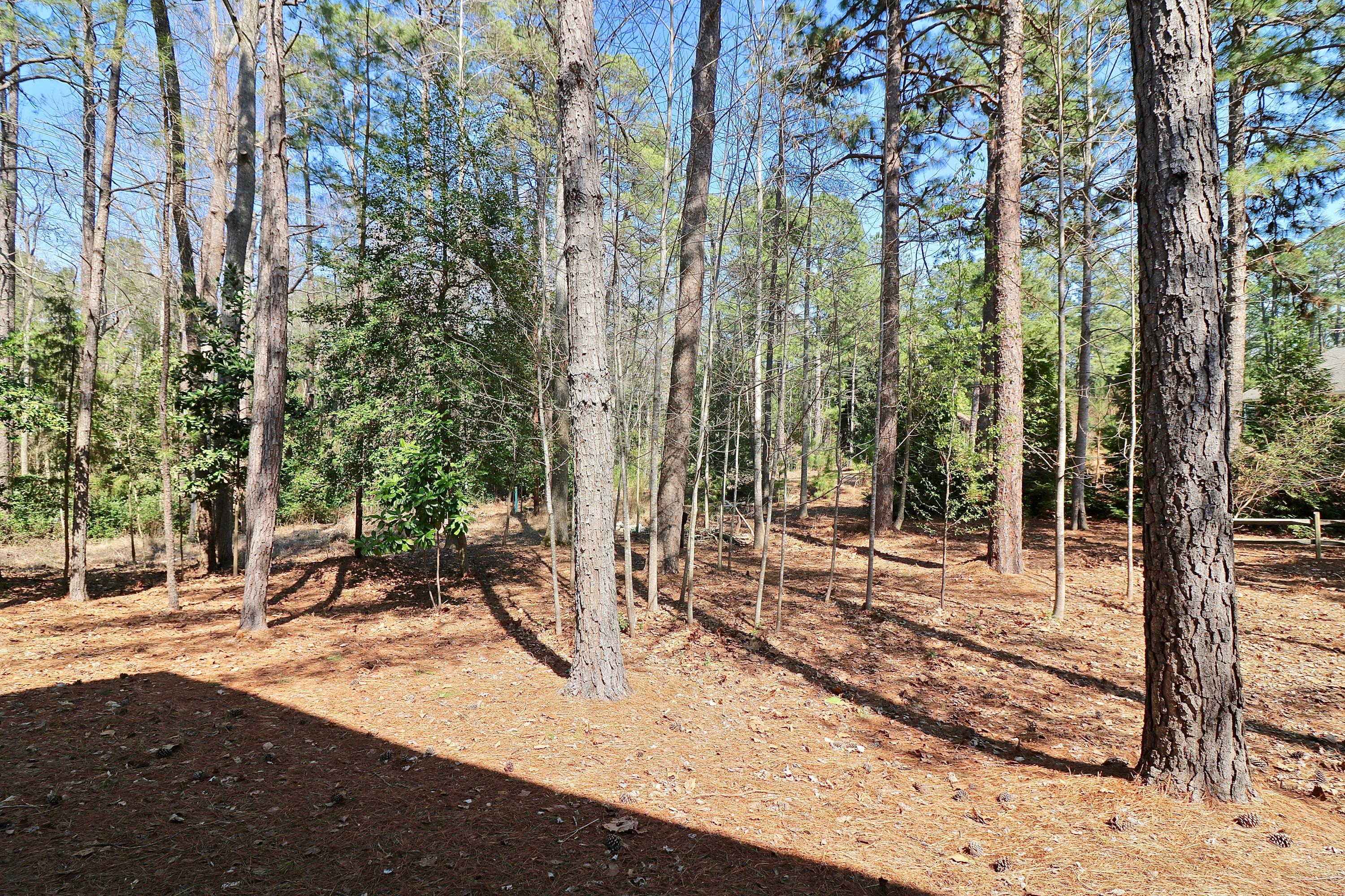 5 Vardon Road Pinehurst, NC 28374 - Photo 43 of 48 IMG_6268