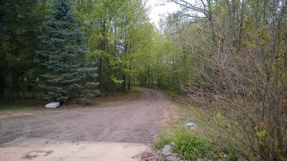 16075 Baldwin Road Chesaning, MI 48616 - Photo 3 of 42 Gallery Image 3
