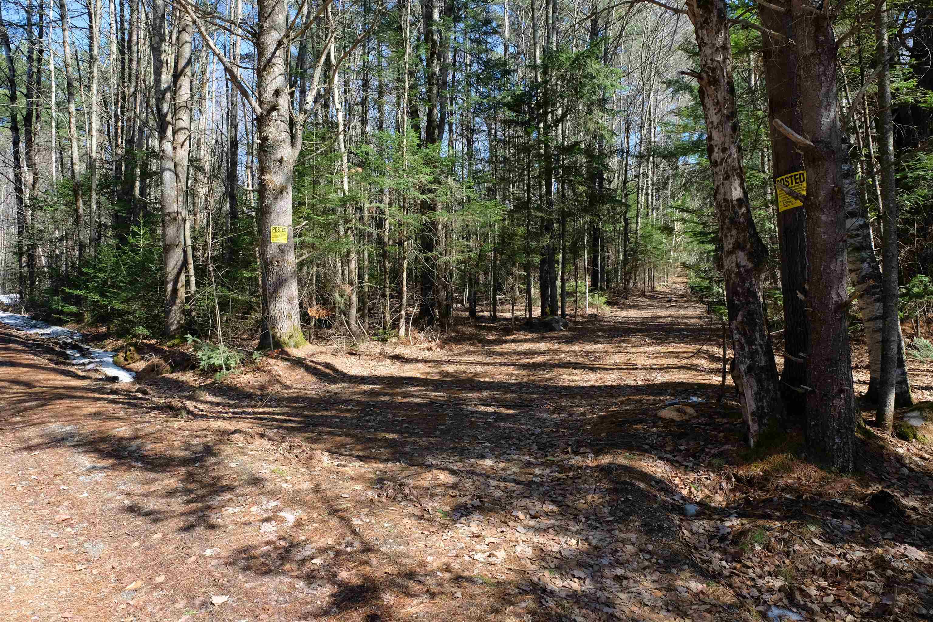Cape Moonshine Road Piermont, NH 03779 - Photo 12 of 27