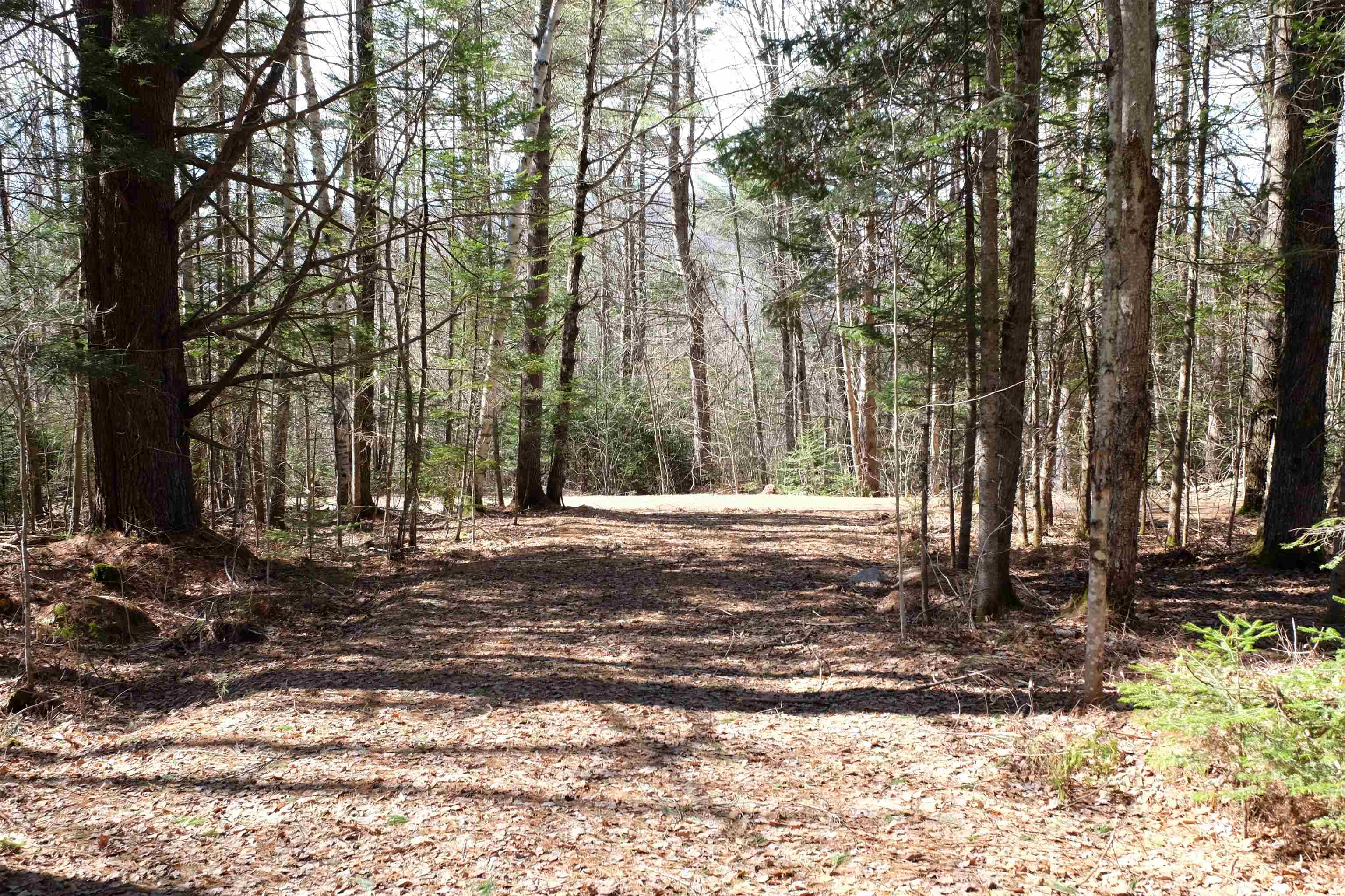 Cape Moonshine Road Piermont, NH 03779 - Photo 19 of 27