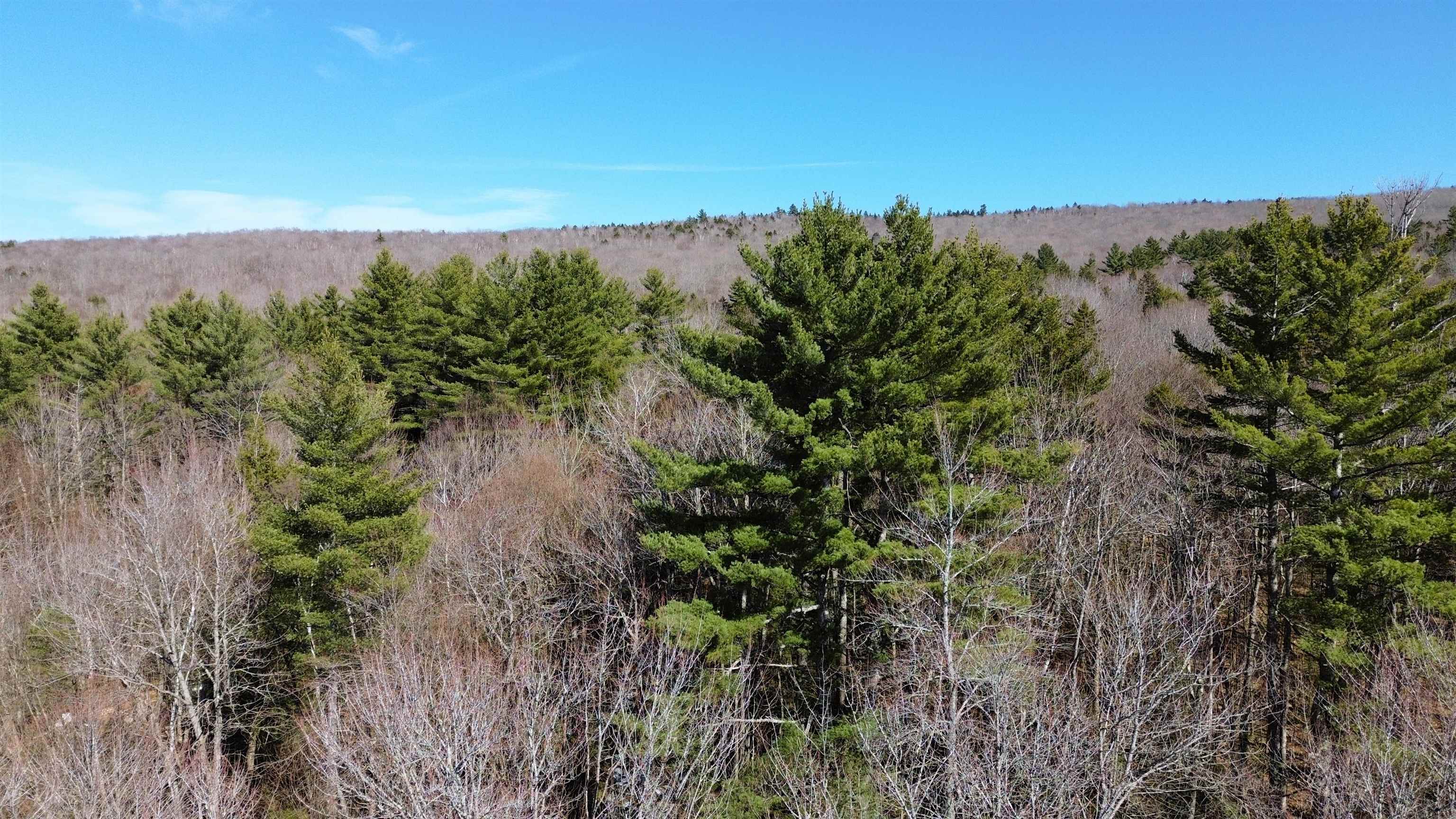 Cape Moonshine Road Piermont, NH 03779 - Photo 20 of 27