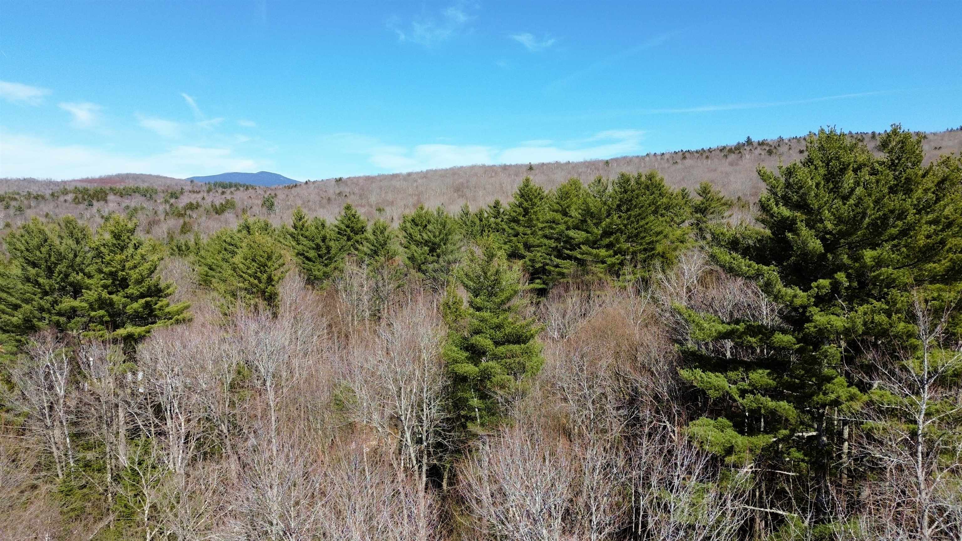 Cape Moonshine Road Piermont, NH 03779 - Photo 22 of 27