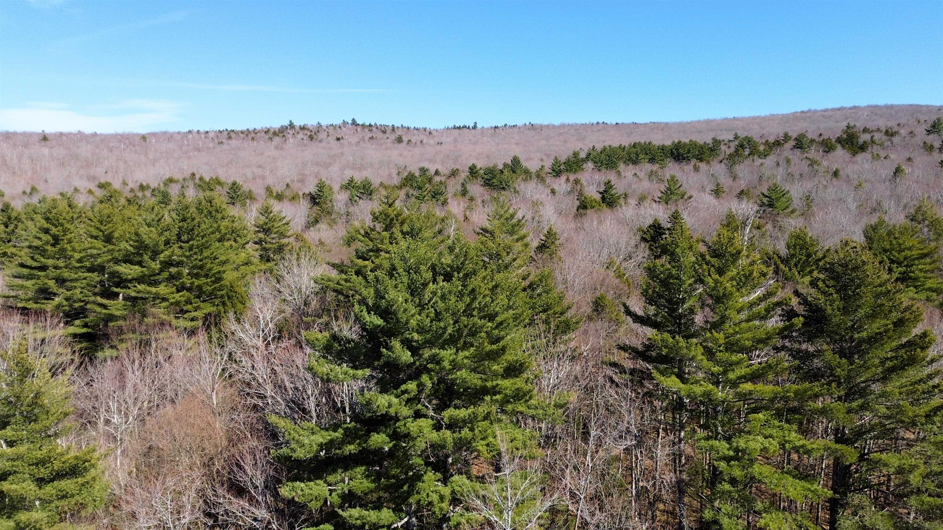 Cape Moonshine Road Piermont, NH 03779 - Photo 7 of 27