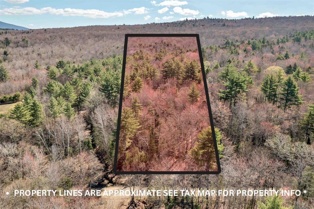 Cape Moonshine Road Piermont, NH 03779 - Photo 10 of 27