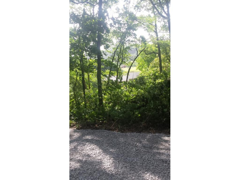 1714 Jockey Road, Unit 1 Chuckey, TN 37641 - Photo 3 of 9 Photo 3