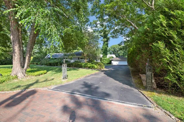 a view of a yard with plants and trees