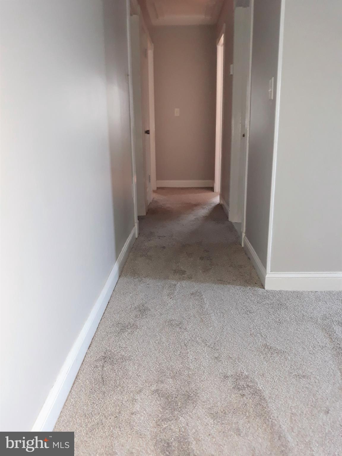 317 Legion Road Millington, MD 21651 - Photo 8 of 23 New Carpet in Hallway