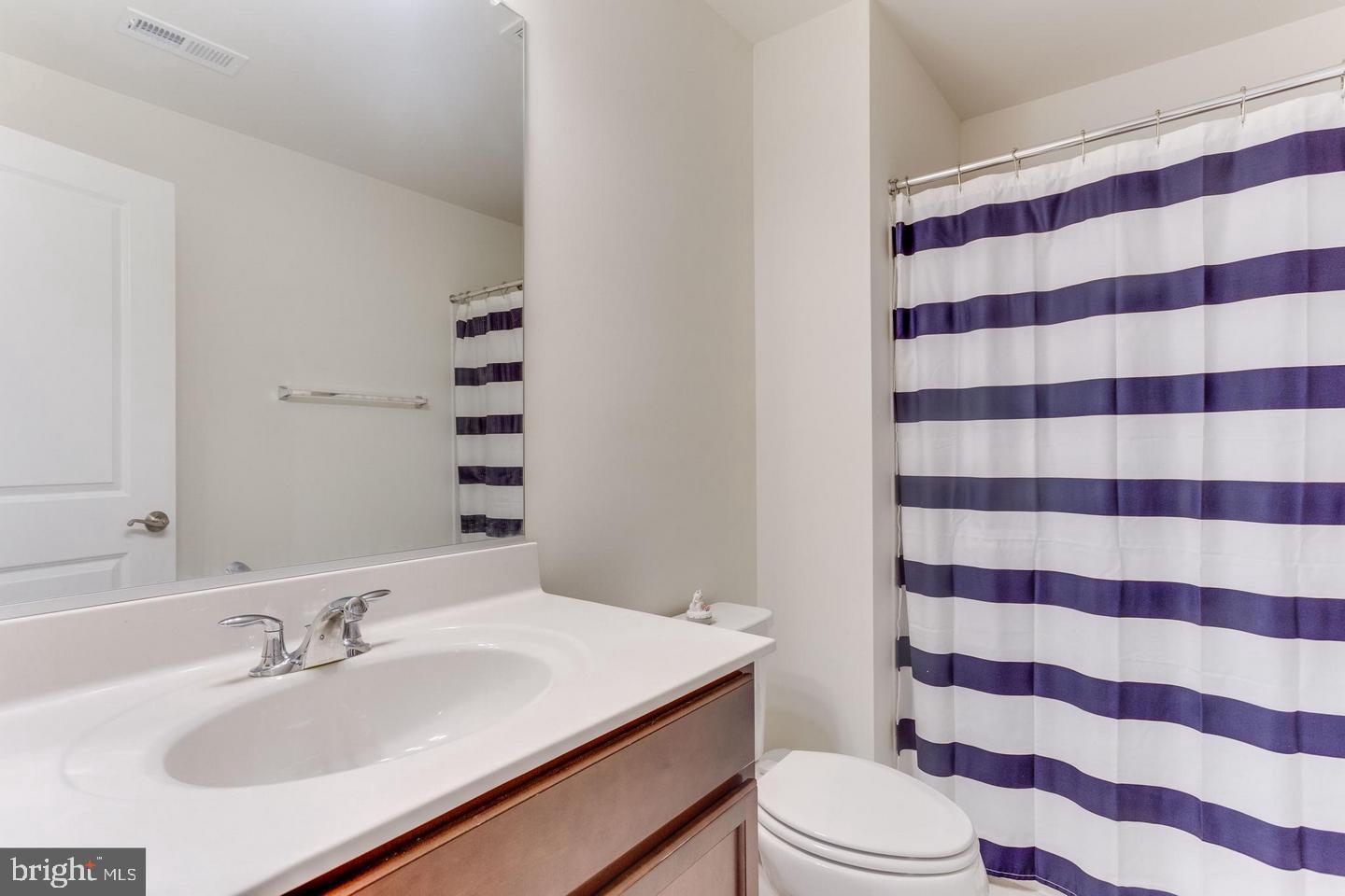 1005 Themis Street Southeast Leesburg, VA 20175 - Photo 28 of 32 Basement Bath 3