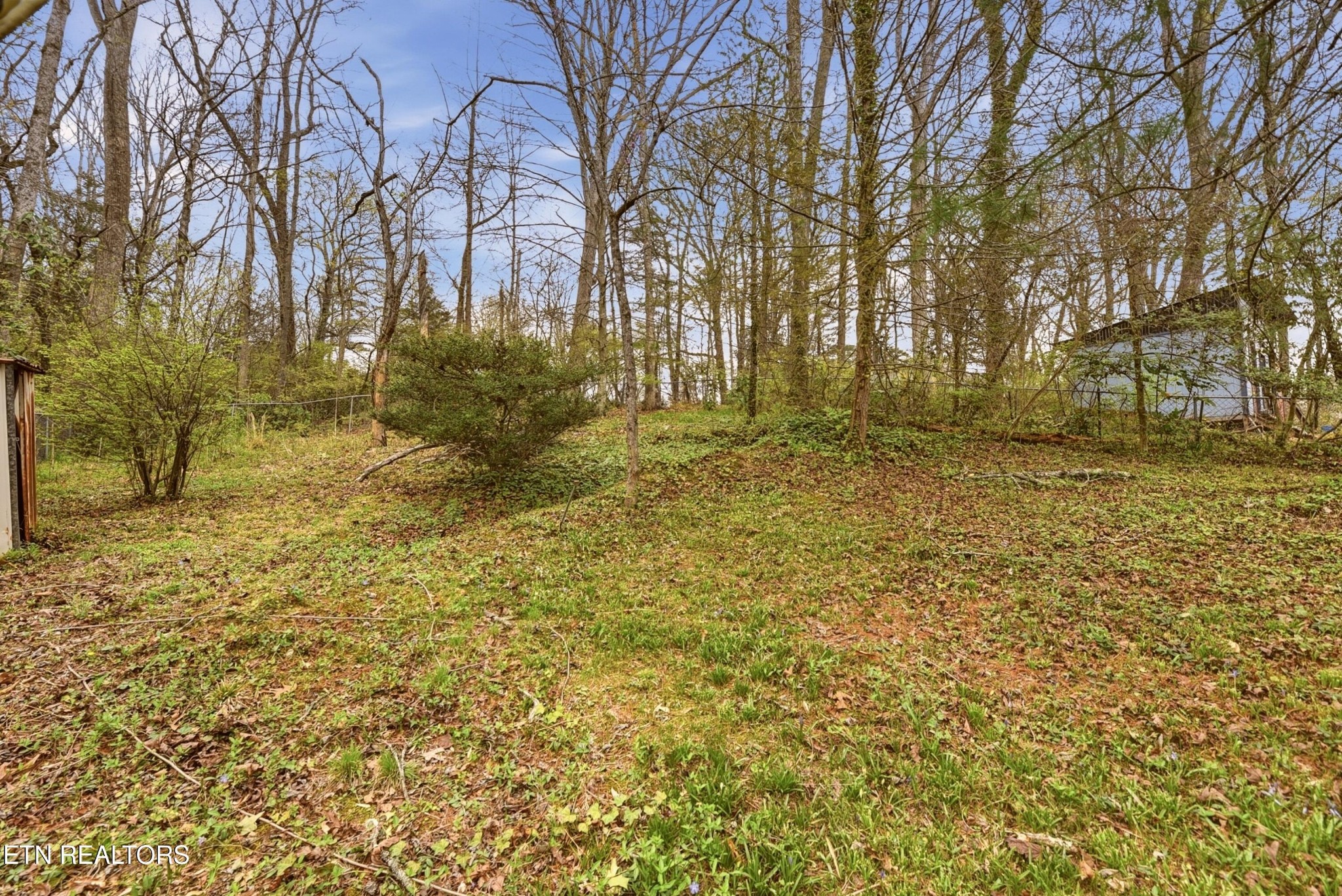 107 Dale Road Norris, TN 37828 - Photo 28 of 28 Gallery Image 28