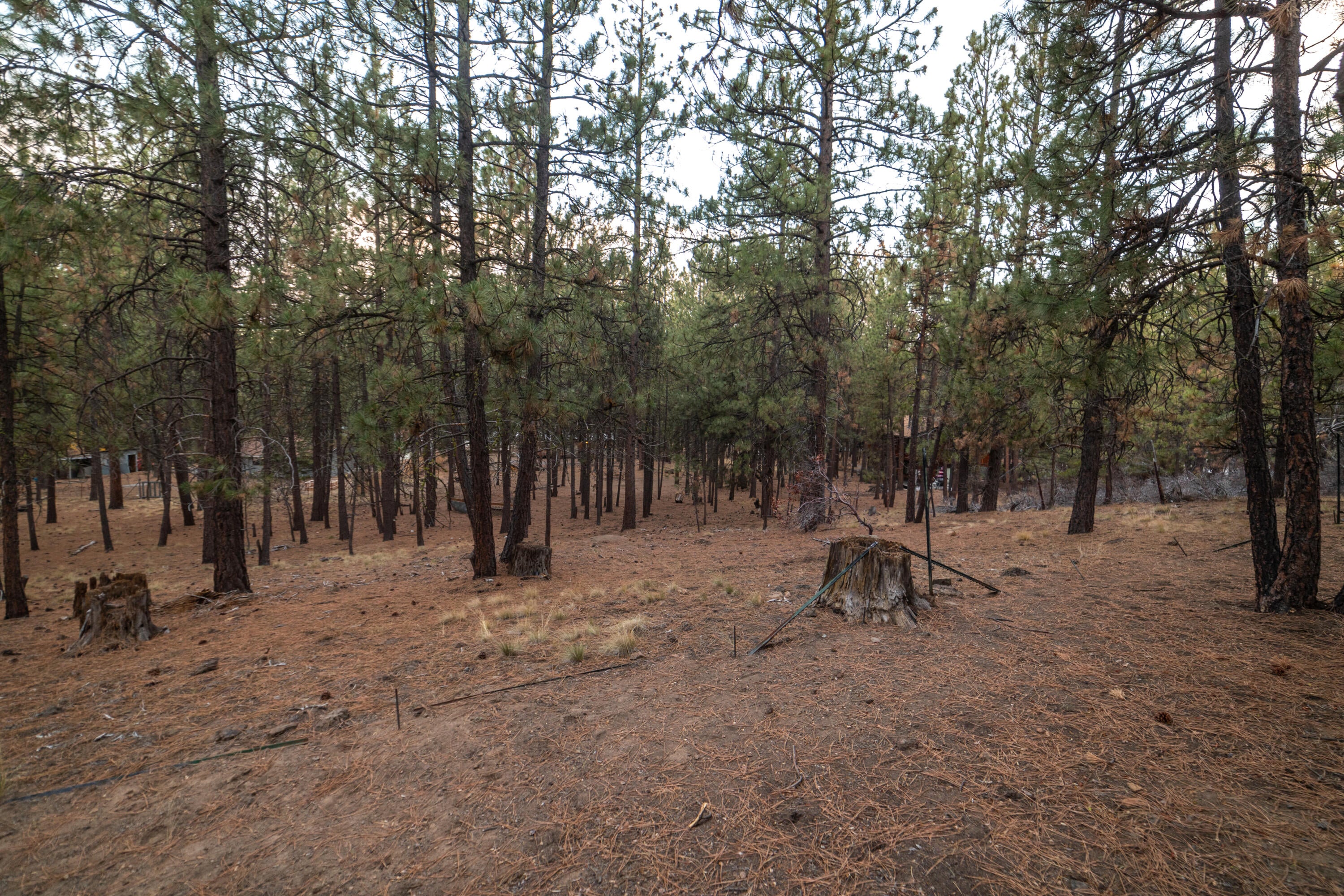 60186 Agate Road Bend, OR 97702 - Photo 51 of 57 Z-51