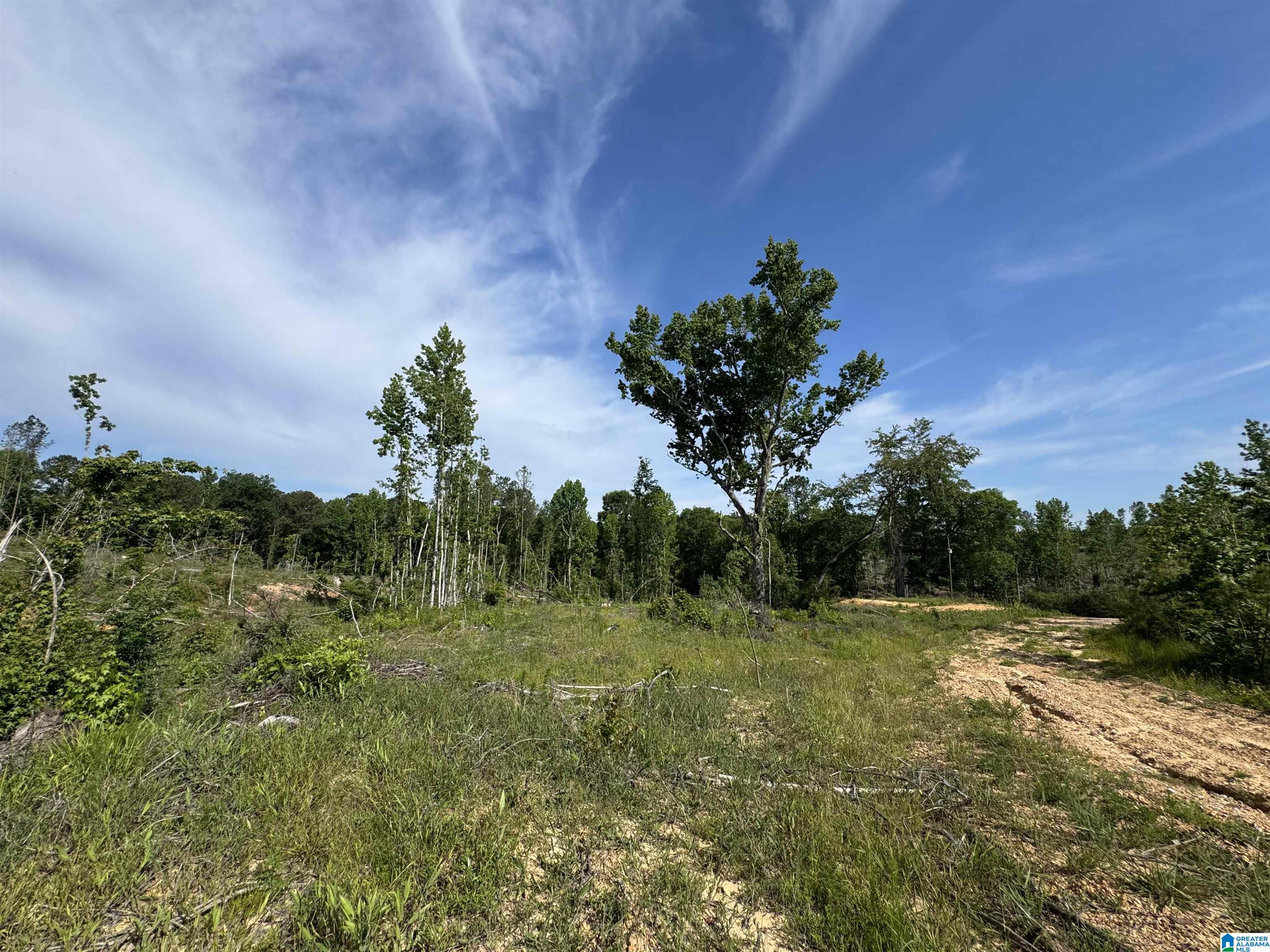 Active Road, Unit 6 Lawley, AL 36793 - Photo 18 of 31 Gallery Image 18