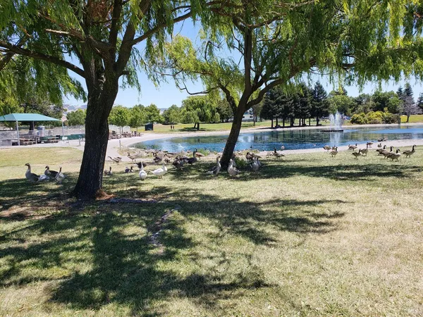 $515,000 | 240 Park Pl Drive, Petaluma, CA 94954