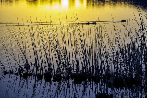 $515,000 | 240 Park Pl Drive, Petaluma, CA 94954