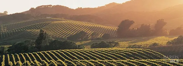 $515,000 | 240 Park Pl Drive, Petaluma, CA 94954