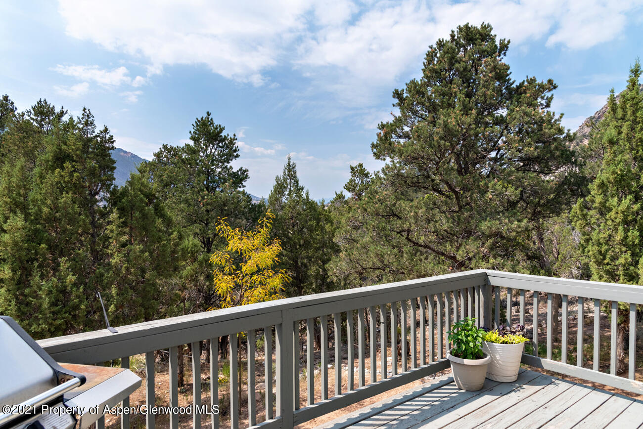 499 Elk Run Road New Castle, CO 81647 - Photo 18 of 20 ElkRunRd_009