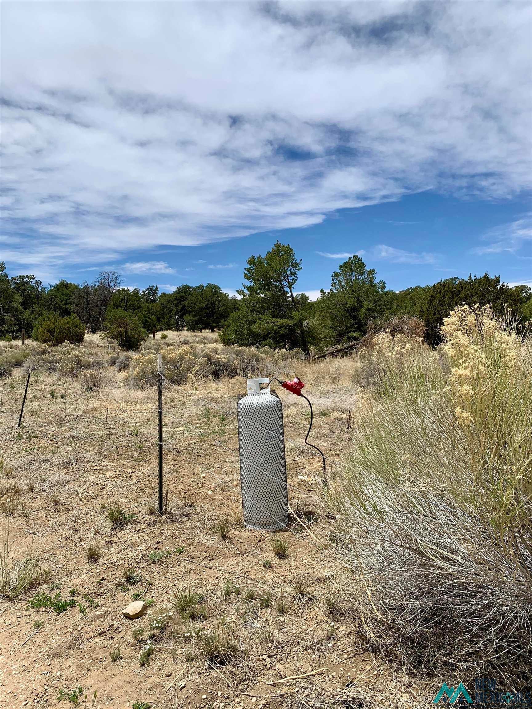 371 Candy Kitchen Road Candy Kitchen, NM 87357 - Photo 19 of 49 Expansive open land featuring diverse natural vegetation and a distant tree line