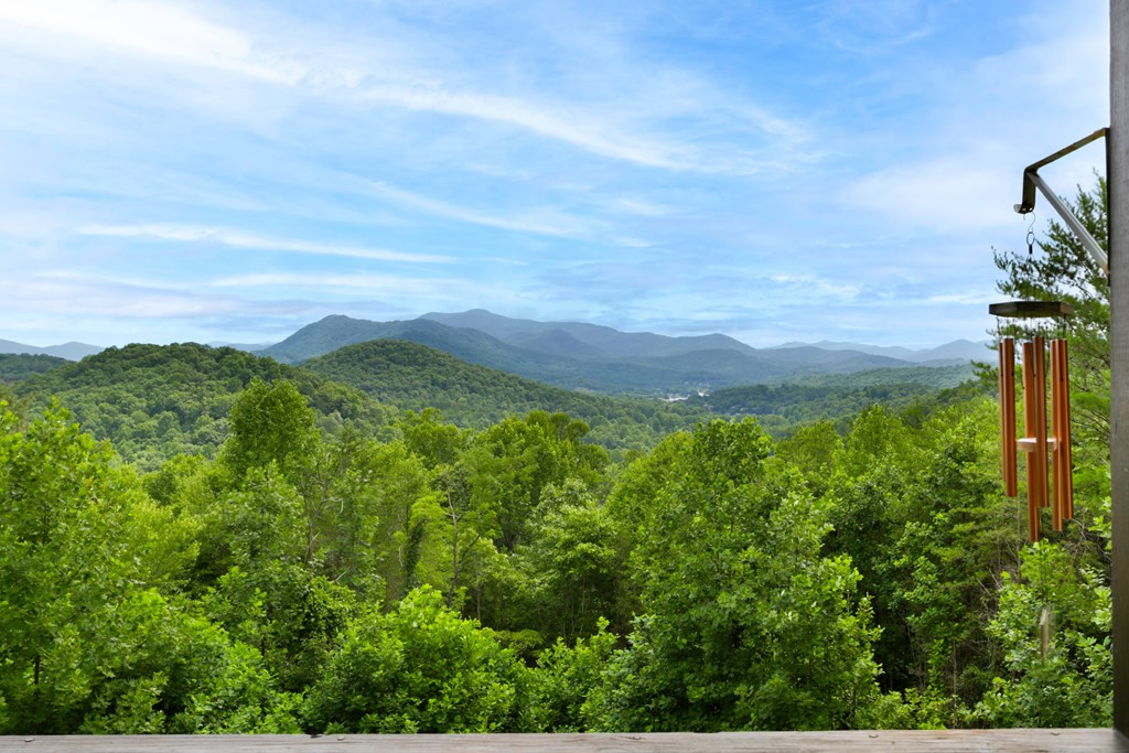 1047 Hidden Summit Road Hiawassee, GA 30546 - Photo 3 of 35 Gallery Image 3