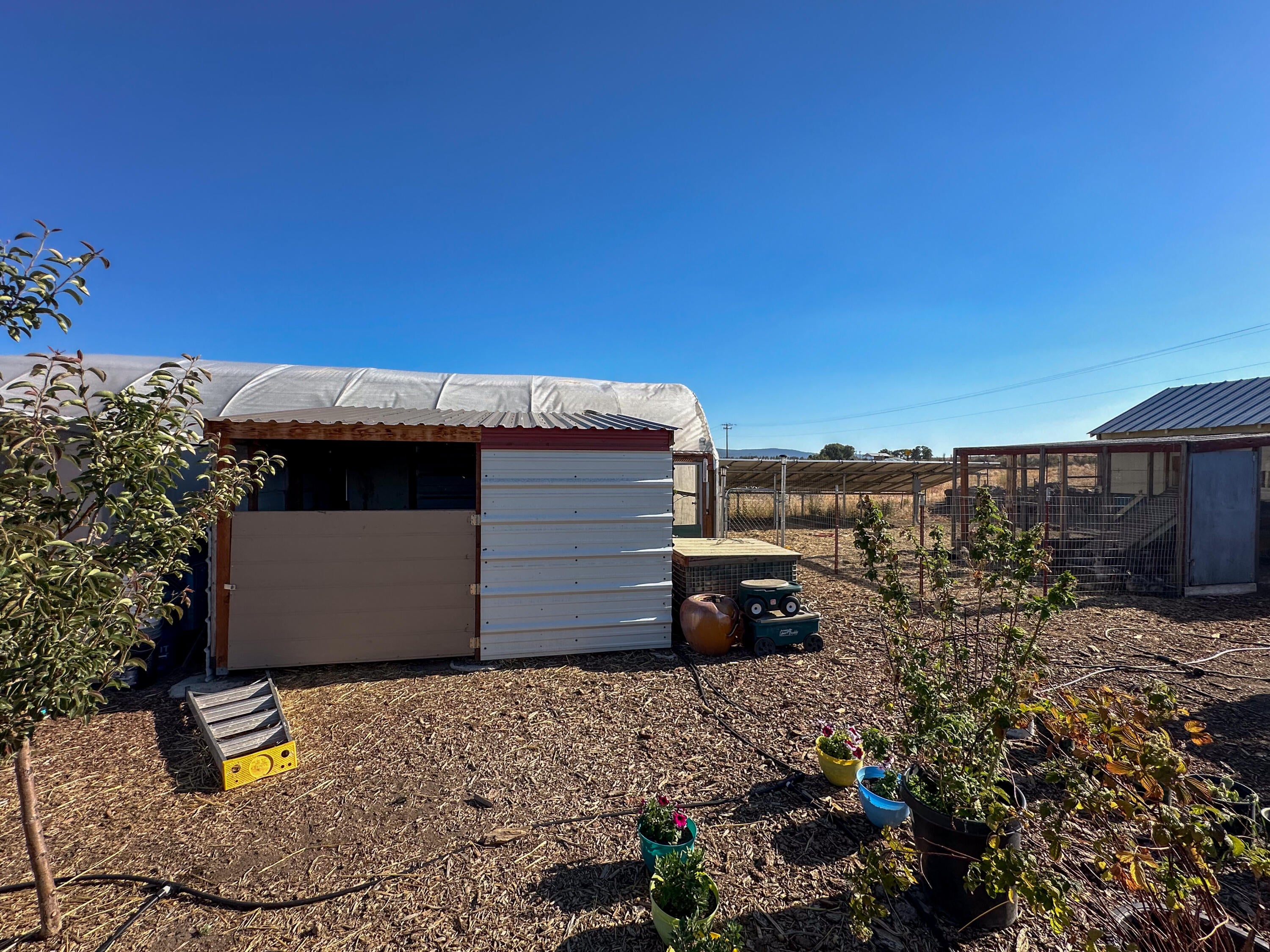 23939 Yellow Jacket Springs Road Beatty, OR 97621 - Photo 62 of 72 Storage Shed