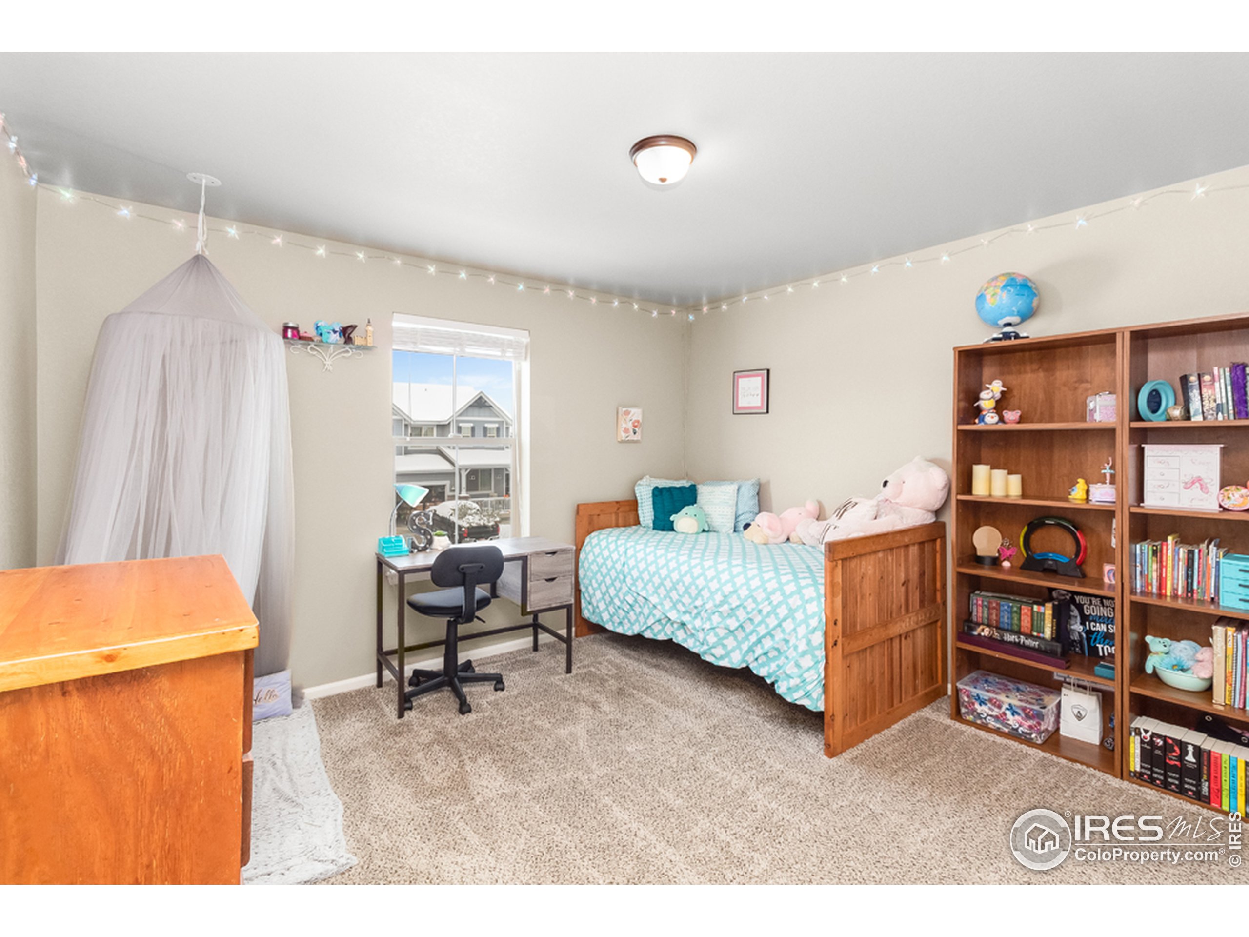 6559 Tombstone Ridge Road Timnath, CO 80547 - Photo 20 of 30 a living room with furniture and a book shelf