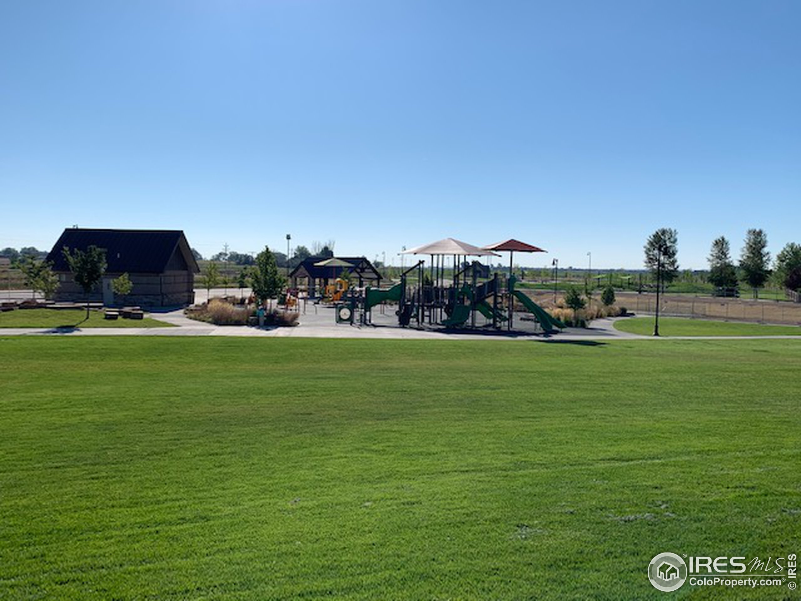 6559 Tombstone Ridge Road Timnath, CO 80547 - Photo 30 of 30 a view of a park with large trees