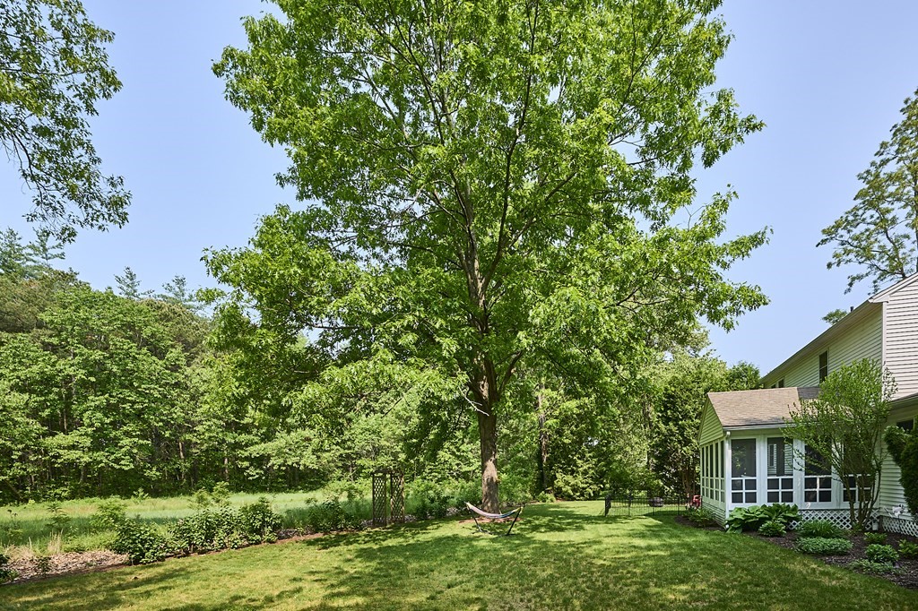 35 North Plain Road Sunderland, MA 01375 - Photo 33 of 42 Gallery Image 33