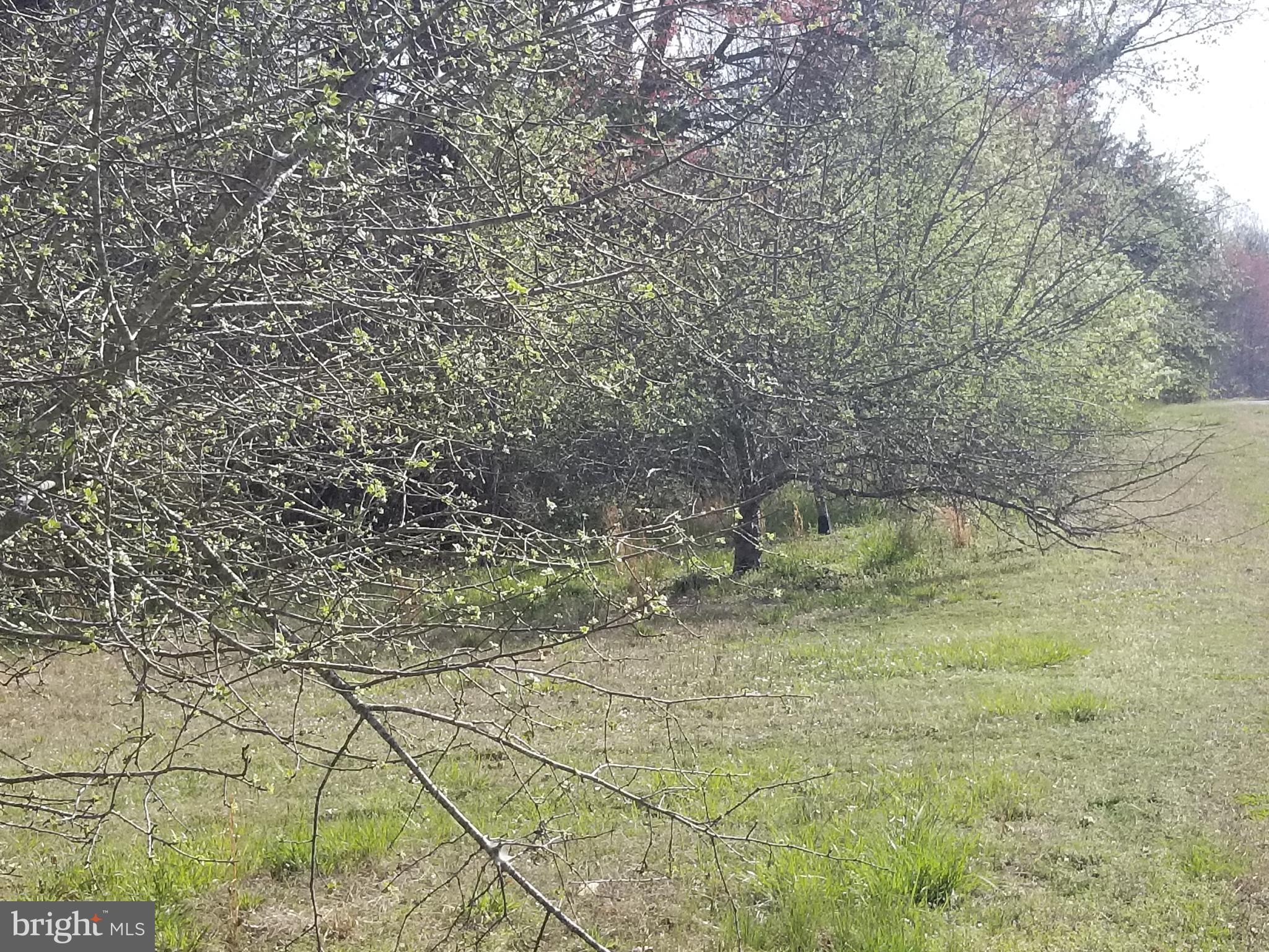 21165 File Road Milford, VA 22514 - Photo 12 of 52