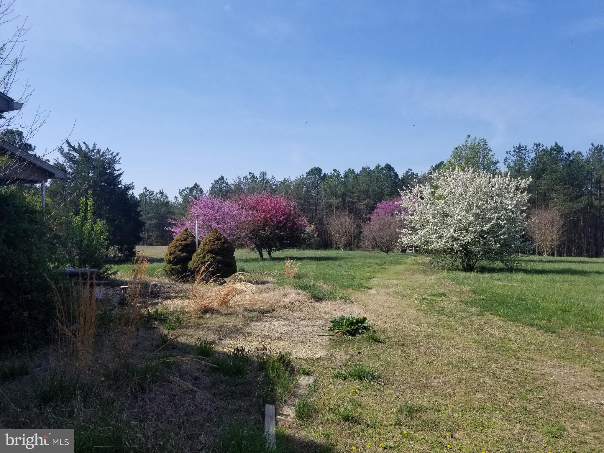 21165 File Road Milford, VA 22514 - Photo 16 of 52