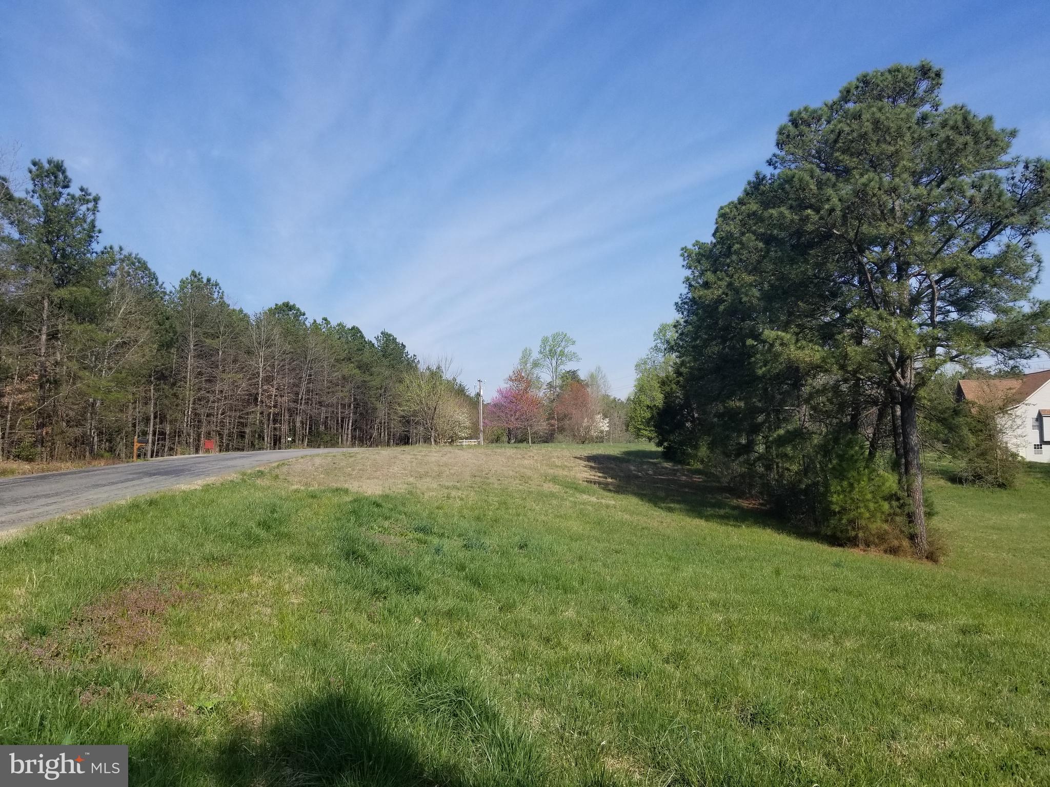 21165 File Road Milford, VA 22514 - Photo 5 of 52