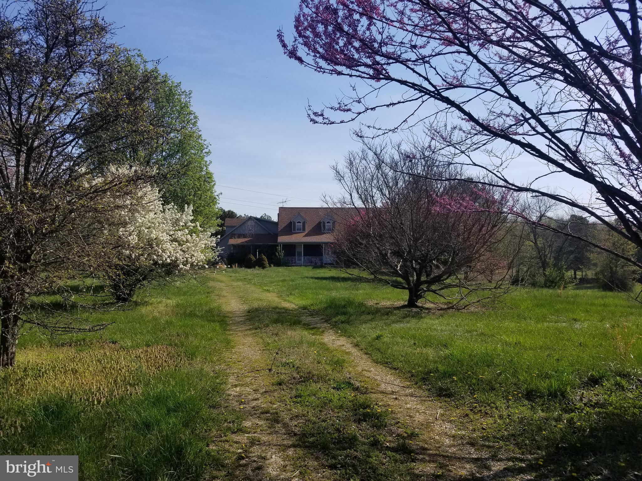 21165 File Road Milford, VA 22514 - Photo 6 of 52