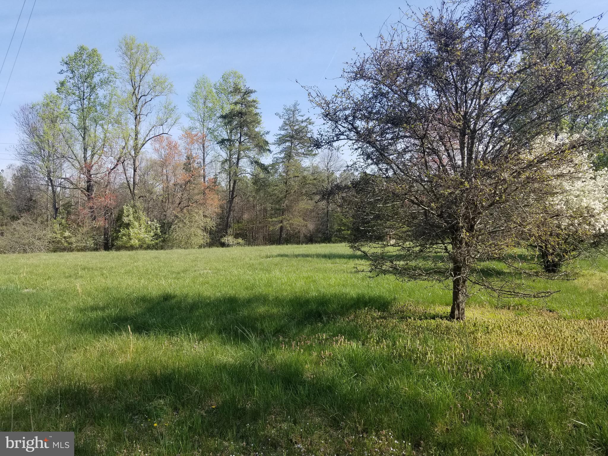 21165 File Road Milford, VA 22514 - Photo 7 of 52