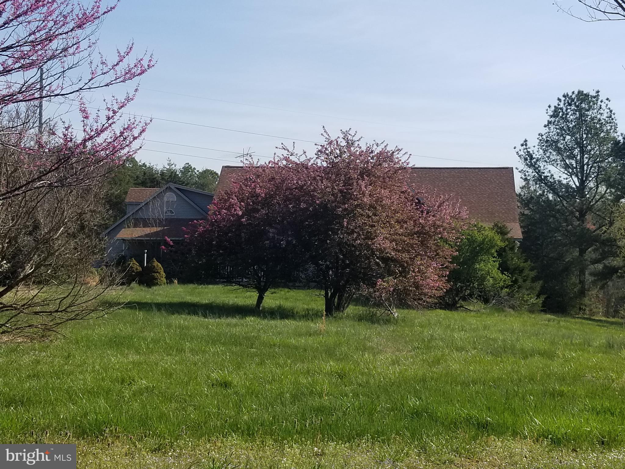 21165 File Road Milford, VA 22514 - Photo 8 of 52