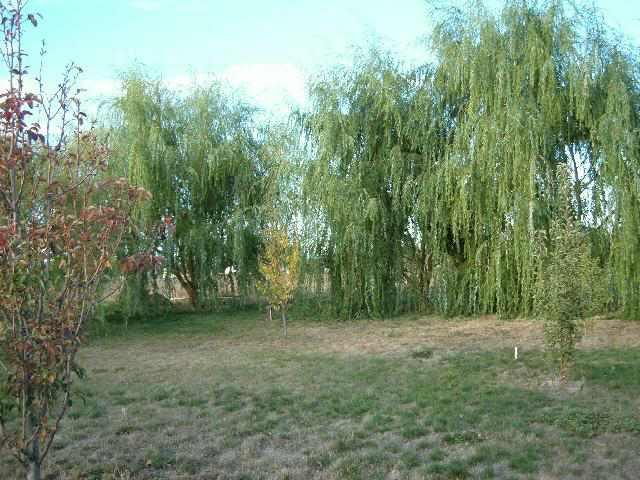 371 Vance Road Mabton, WA 98935 - Photo 3 of 4 Additional Photo