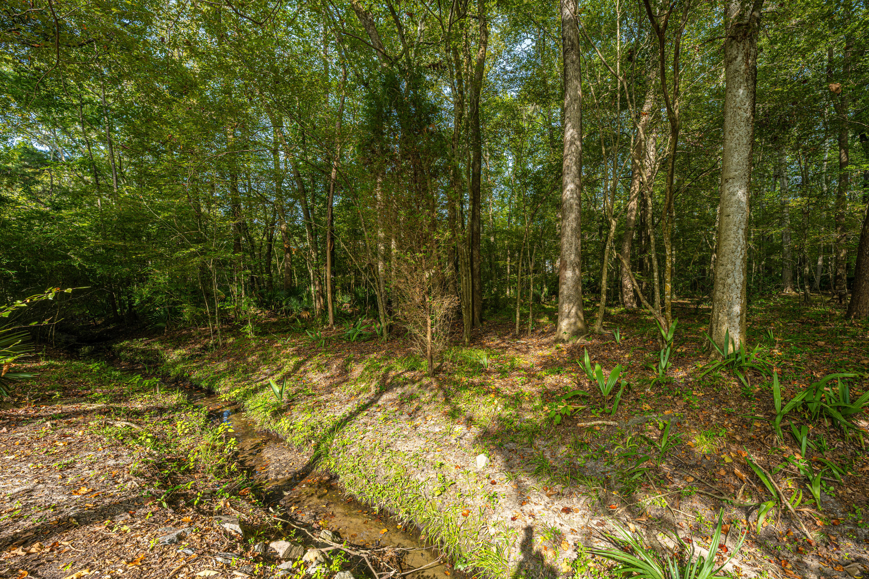 123 Walden Ridge Way Summerville, SC 29485 - Photo 32 of 34 Wooded