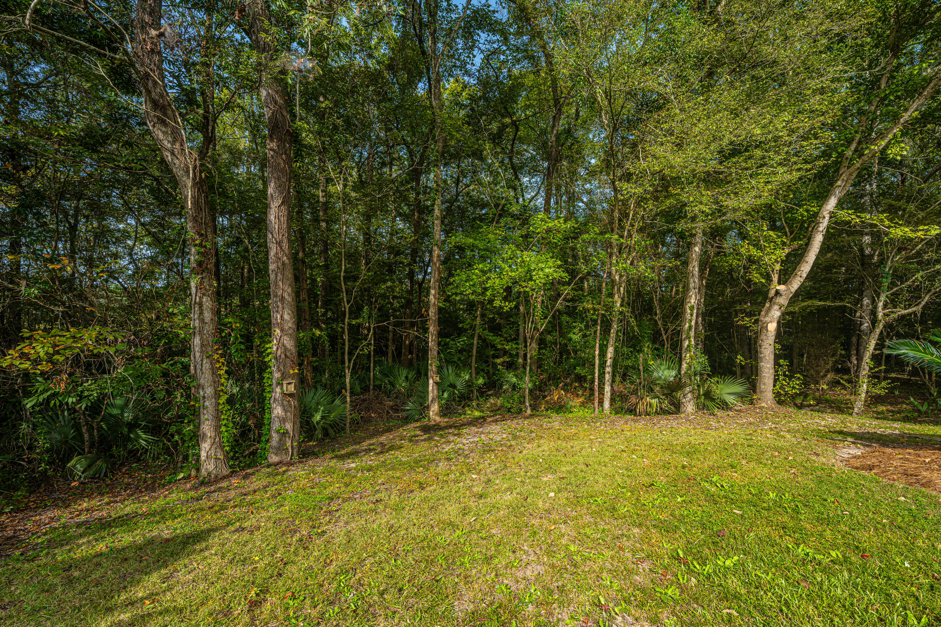 123 Walden Ridge Way Summerville, SC 29485 - Photo 4 of 34 Wooded Private Back Yard