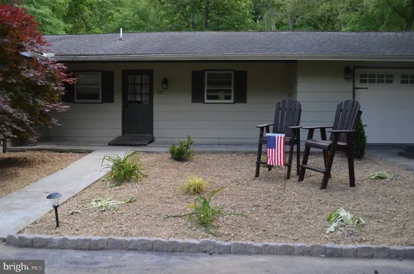 a view of a forest with lots of trees