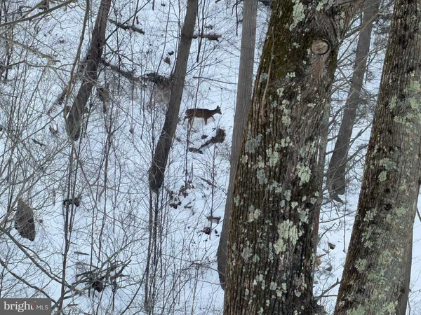 a bedroom with a bed and dresser with mirror