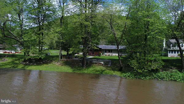 a view of a park with large trees