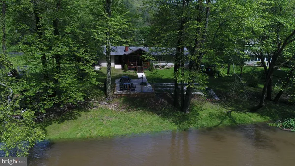 a view of a garden with a bench