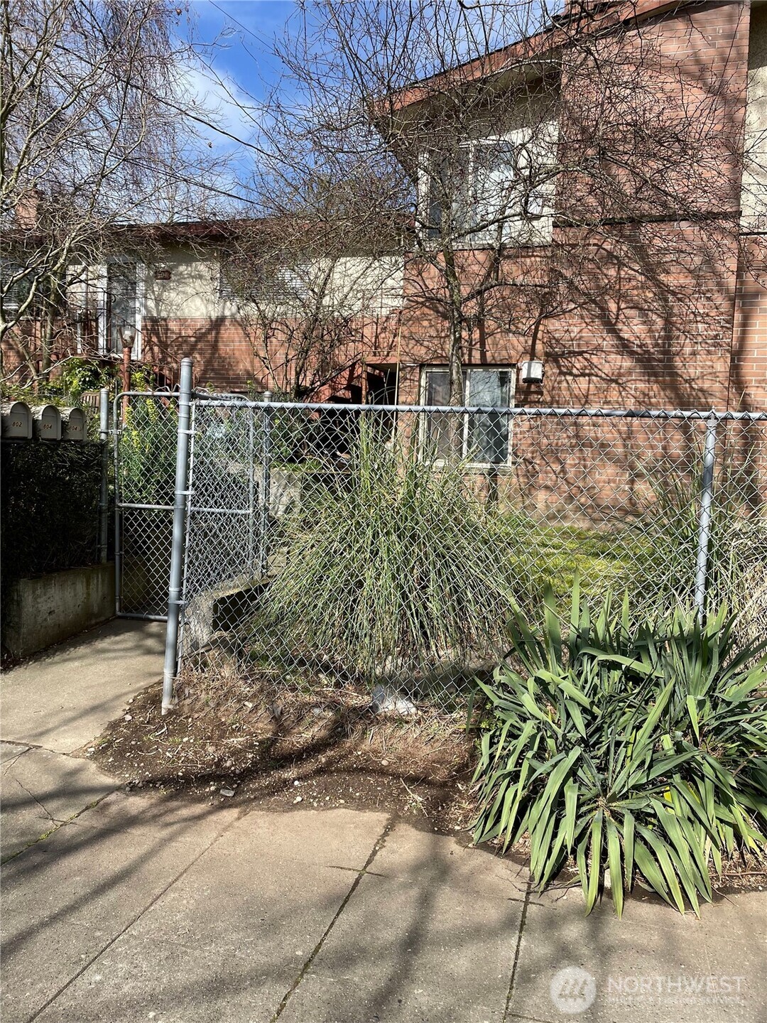 800 Northwest 62nd Street, Unit 804 5 Seattle, WA 98107 - Photo 1 of 1 a backyard of a house with lots of green space
