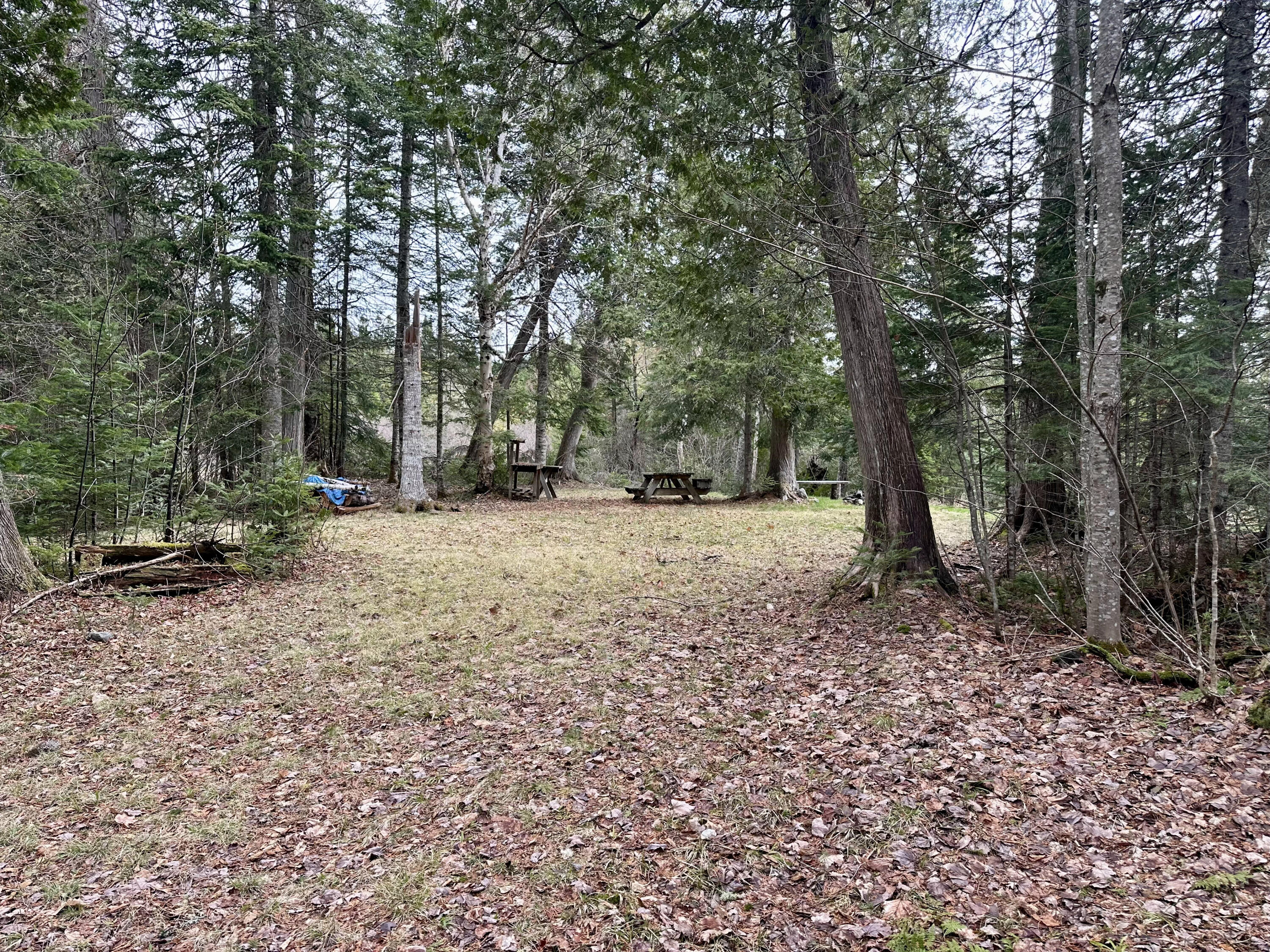 2318 Toe Of The Boot Road Rockwood, ME 04478 - Photo 19 of 19 IMG_4533