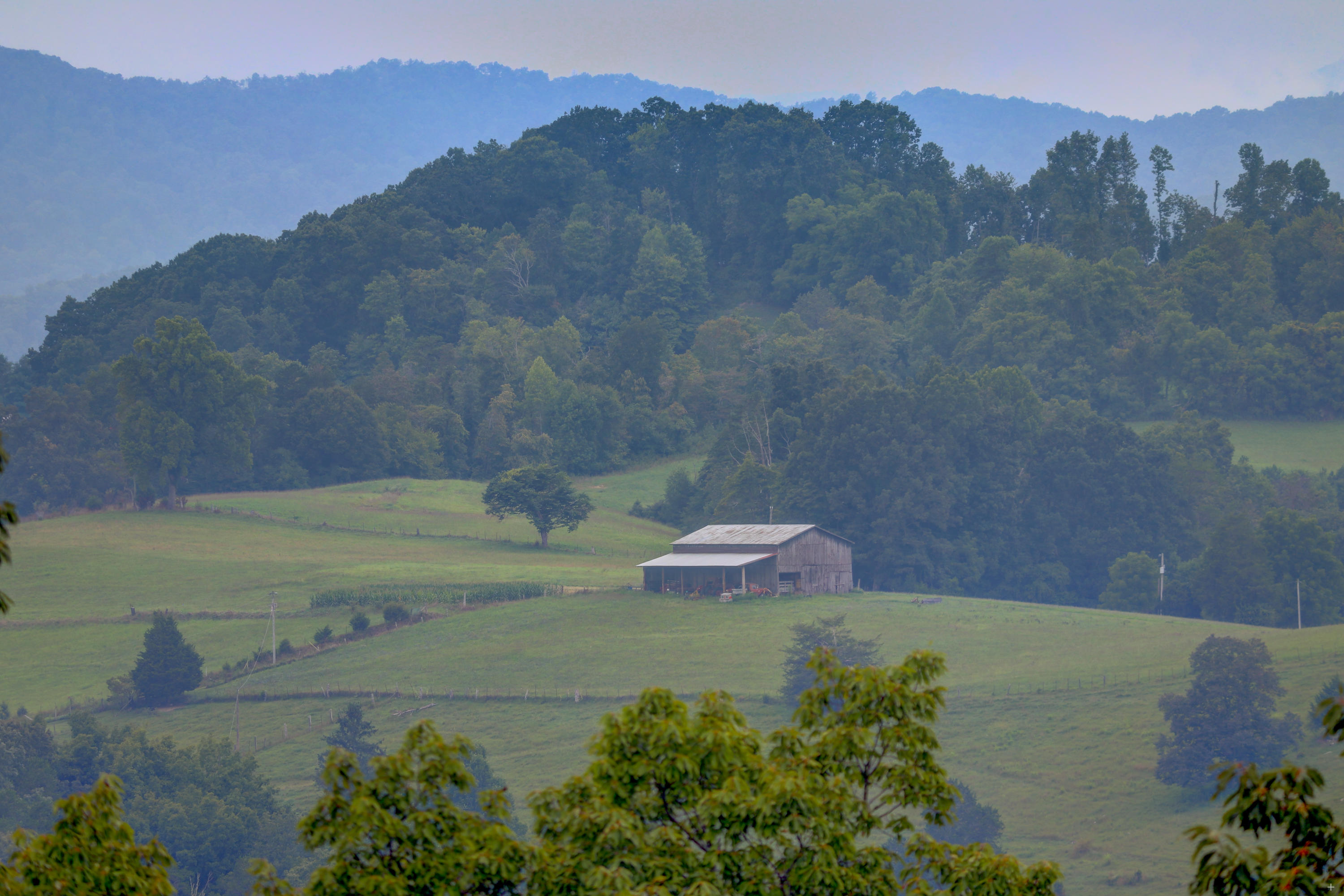 196 Adkins Road Harrogate, TN 37752 - Photo 31 of 35 Positive Perceptions-29