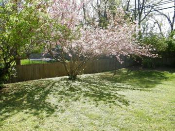 3438 Snaffle Road Lexington, KY 40513 - Photo 21 of 24 Photo 21