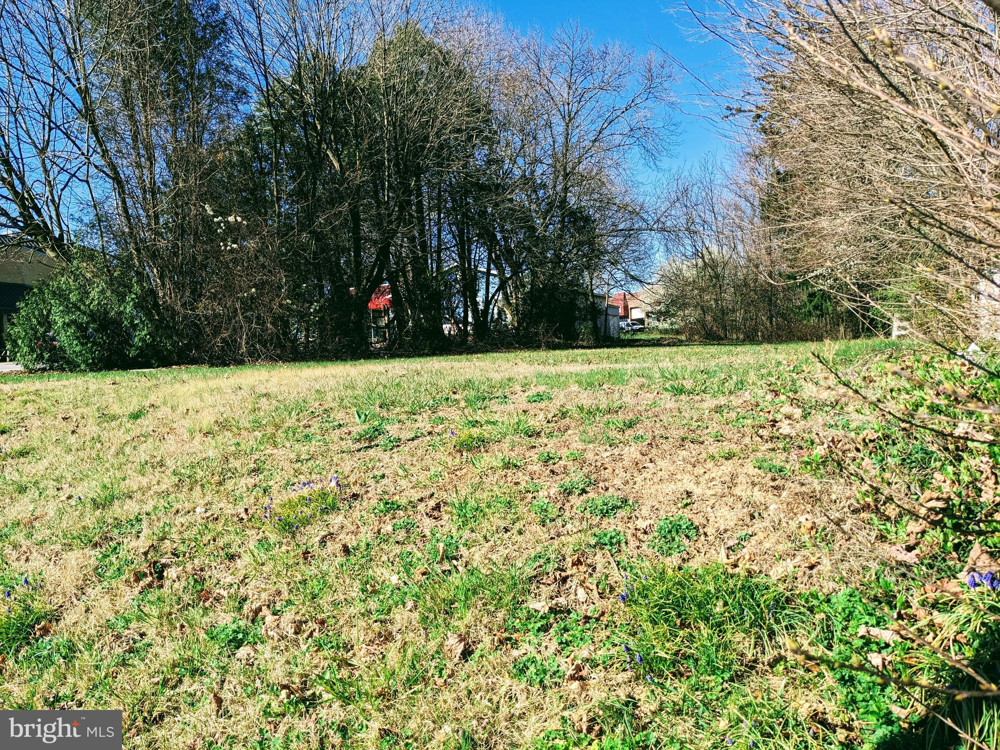 26530 Ridge Road Damascus, MD 20872 - Photo 6 of 6 a view of a yard with trees