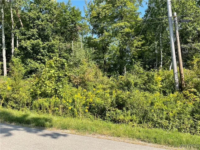 $129,900 | 5064 Bly Hill Road, North Harmony, NY 14710