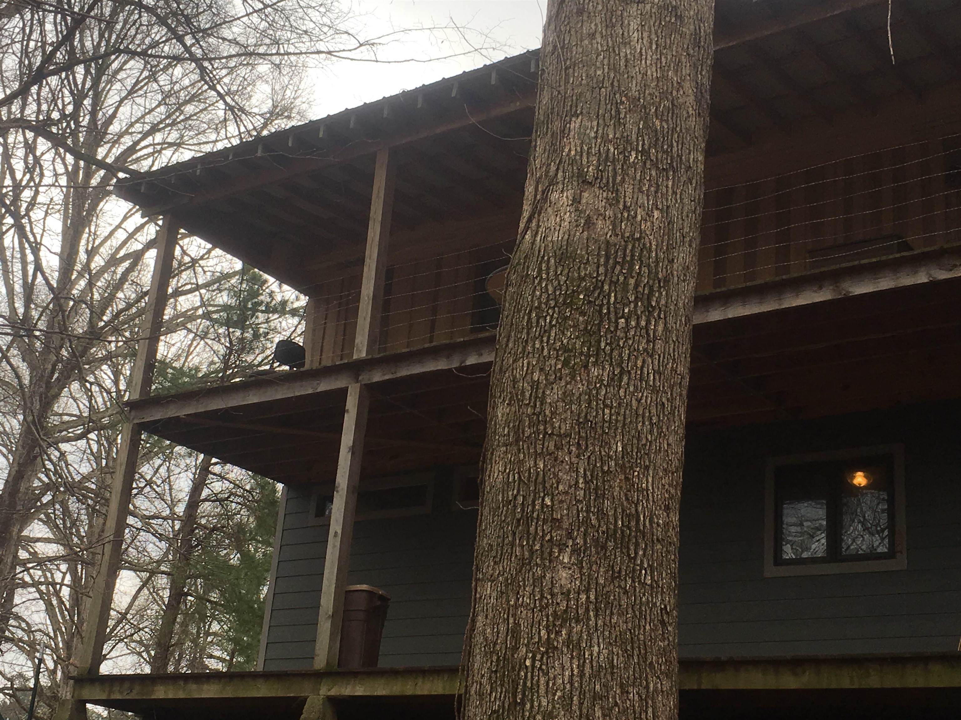 7462 Campground Road Drummonds, TN 38023 - Photo 5 of 31 Additional content